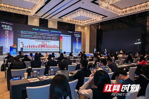 房產湖南站正式啟航，深耕代理服務助力湖湘地產新篇